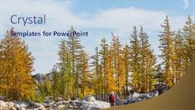  Presentation with fall mountains - Slides having beautiful-golden-larches-in-mountains background and a light blue colored foreground