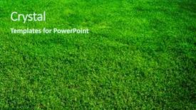  Presentation with beautiful green - PPT theme featuring beautiful grass background background and a forest green colored foreground
