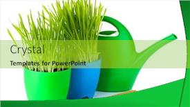  Presentation with garden tools - Presentation design enhanced with beautiful grass in a flowerpots watering can and garden tools isolated on white background and a yellow colored foreground