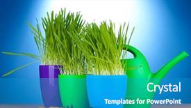  Presentation with garden tools - Presentation theme enhanced with flowers pot plastic flower pots - beautiful grass in a flowerpots background and a teal colored foreground