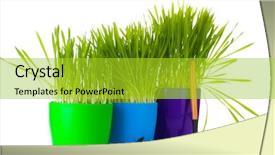  Presentation with garden tools - Amazing PPT theme having beautiful-grass-in-a-flowerpots backdrop and a yellow colored foreground