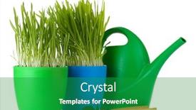  Presentation with garden tools - PPT layouts consisting of beautiful grass in a flowerpots watering can and garden tools isolated on white background and a shamrock green colored foreground