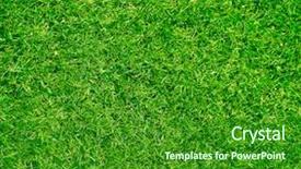  Presentation with beautiful green - PPT layouts consisting of beautiful grass texture background and a forest green colored foreground