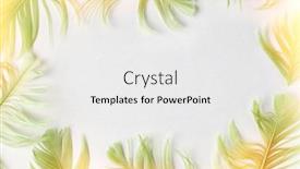  Presentation with pastel - Colorful presentation theme enhanced with beautiful-green-bird-feathers backdrop and a white colored foreground