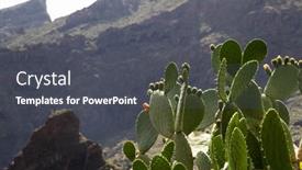  Presentation with beautiful green - PPT theme enhanced with beautiful-green-cacti-growing background and a dark gray colored foreground