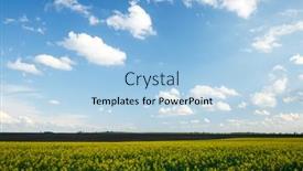  Presentation with agrarian - PPT theme with beautiful-green-field-and-perfect background and a light blue colored foreground