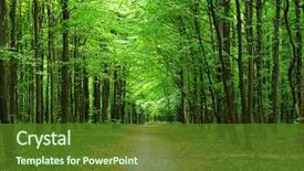  Presentation with beautiful green - Audience pleasing PPT layouts consisting of beautiful green forest in summer backdrop and a tawny brown colored foreground