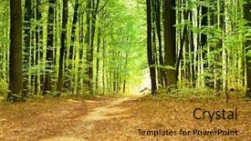  Presentation with beautiful green - Audience pleasing PPT theme consisting of beautiful green forest backdrop and a gold colored foreground