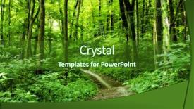  Presentation with beautiful green - Beautiful presentation design featuring beautiful green forest backdrop and a forest green colored foreground