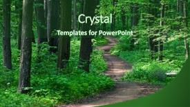  Presentation with beautiful green - Colorful slides enhanced with beautiful green forest backdrop and a forest green colored foreground