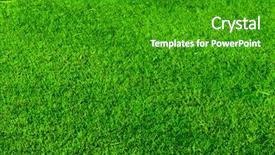  Presentation with beautiful green - Slide deck enhanced with beautiful green grass for background background and a shamrock green colored foreground