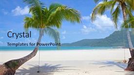  Presentation with beautiful green - Presentation theme enhanced with beautiful green palm trees background and a light blue colored foreground