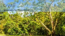  Presentation with beautiful-green - Slide deck consisting of beautiful green park view background and a light blue colored foreground