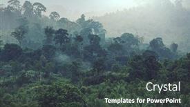 Presentation with jungle - Colorful slide deck enhanced with beautiful-green-tropical-jungle backdrop and a dark gray colored foreground