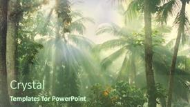  Presentation with beautiful green - Presentation theme having beautiful-green-tropical-jungle background and a tawny brown colored foreground