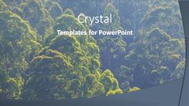  Presentation with beautiful green - Slides consisting of beautiful-green-tropical-jungle background and a seafoam green colored foreground