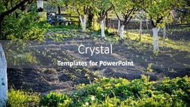  Presentation with vegetable garden - PPT theme having beautiful-green-vegetable-garden background and a gray colored foreground