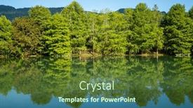  Presentation with pond - Presentation enhanced with beautiful-greenery-forest-with-water background and a tawny brown colored foreground