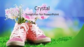  Presentation with lime green and white flower - Amazing slides having beautiful gumshoes with flowers inside backdrop and a light blue colored foreground