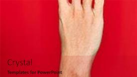  Presentation with fingers - Colorful PPT theme enhanced with beautiful-hand-of-man-showing backdrop and a crimson colored foreground