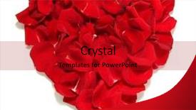  Presentation with red and white rose petals - Amazing presentation theme having beautiful heart of red rose backdrop and a crimson colored foreground