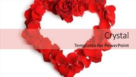  Presentation with white rose - Audience pleasing slides consisting of beautiful heart of red rose backdrop and a coral colored foreground