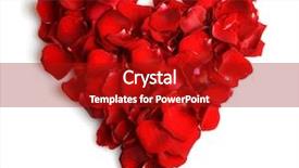  Presentation with white rose - PPT theme consisting of beautiful heart of red rose background and a crimson colored foreground