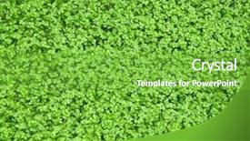  Presentation with plano de marketing forever living - Presentation theme having beautiful homogeneous texture of living background and a  colored foreground