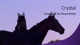  Presentation with horses - PPT theme with beautiful horses 105 see more background and a light blue colored foreground