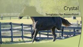  Presentation with horses - Amazing presentation having beautiful horses 106 see more backdrop and a  colored foreground