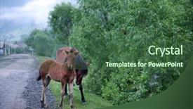  Presentation with horses - Slide deck enhanced with beautiful-horses-on-the-mountain background and a ocean colored foreground