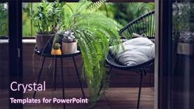  Presentation with fern - PPT theme consisting of beautiful-house-plants-with-water background and a wine colored foreground
