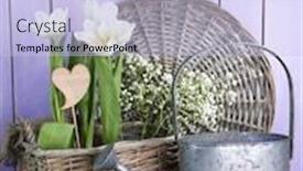  Presentation with green color - Audience pleasing slide set consisting of beautiful hyacinth flower in wicker basket on green grass on color wooden background backdrop and a light blue colored foreground