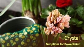  Presentation with flower beautiful lilac border - Cool new presentation theme with beautiful hyacinth flower on blurred backdrop and a tawny brown colored foreground