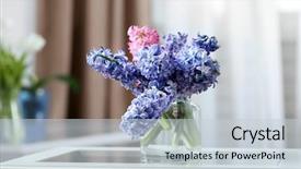  Presentation with blurred flowers - Amazing slide deck having beautiful hyacinth flowers in glass backdrop and a lemonade colored foreground