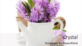  Presentation with garden tools - Amazing PPT layouts having beautiful hyacinths in vase and garden tools over white backdrop and a light gray colored foreground