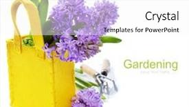  Presentation with garden tools - Beautiful PPT layouts featuring beautiful hyacinths in vase and garden tools over white with easy removable sample text backdrop and a white colored foreground
