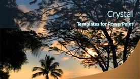  Presentation with hawaiian - Presentation theme enhanced with medieval castle at night view of a beautiful castle at night background and a black colored foreground