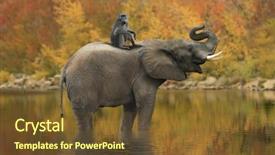  Presentation with africa - Theme with beautiful images of of african background and a tawny brown colored foreground