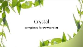  Presentation with ivy - Slides with beautiful ivy border over white background background and a white colored foreground