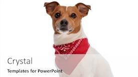  Presentation with russell - 