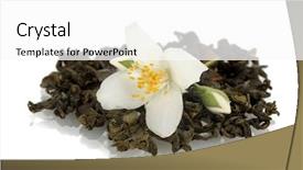  Presentation with jasmine flower - Slide set with beautiful jasmine flower and dry green tea isolated on white background and a white colored foreground