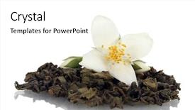  Presentation with jasmine flower - Colorful presentation design enhanced with beautiful jasmine flower and dry green tea isolated on white backdrop and a white colored foreground