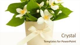  Presentation with flowers vase - Theme having beautiful jasmine flowers in vase background and a lemonade colored foreground