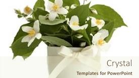  Presentation with jasmine - Audience pleasing PPT layouts consisting of beautiful jasmine flowers in vase isolated on white backdrop and a soft green colored foreground