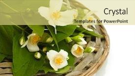  Presentation with jasmine - Amazing PPT theme having beautiful jasmine flowers with leaves backdrop and a yellow colored foreground