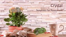  Presentation with brick wall - Amazing presentation design having beautiful kalanchoe plant with book backdrop and a  colored foreground