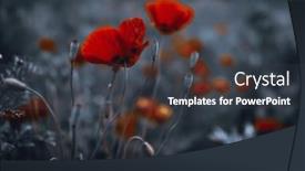  Presentation with gentle - PPT layouts featuring beautiful-landscape-of-a-gentle background and a dark gray colored foreground