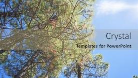  Presentation with beautiful nature - Audience pleasing PPT theme consisting of beautiful-landscape-of-nature backdrop and a coral colored foreground