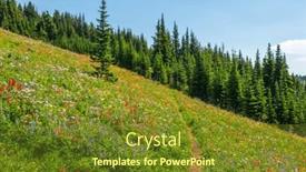  Presentation with root - Presentation design enhanced with beautiful-landscape-of-valley background and a tawny brown colored foreground